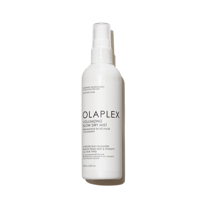 Load image into Gallery viewer, VOLUMIZING BLOW DRY MIST
