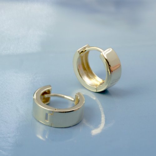 FRANCES GRACE 10k Gold Thick Mini Huggies