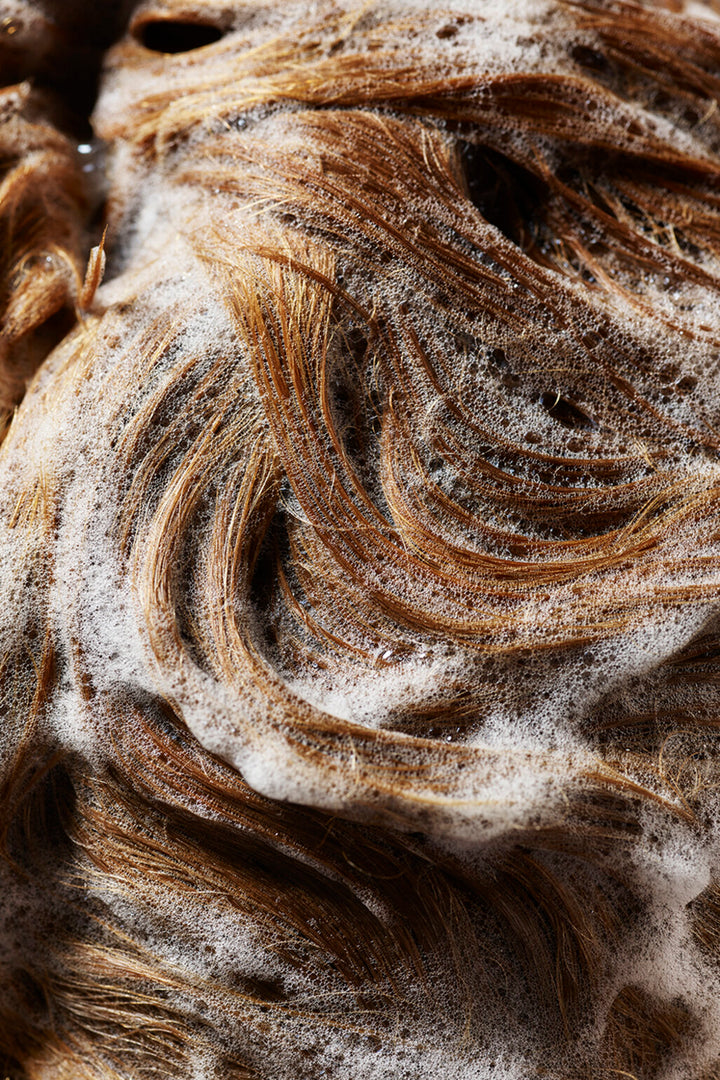 Shampoo for Beautiful Colour | Oribe | HOLDENGRACE