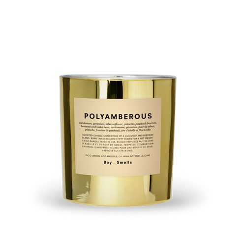 Polyamberous | Boy Smells | HOLDENGRACE